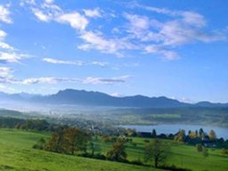 mauensee 20177